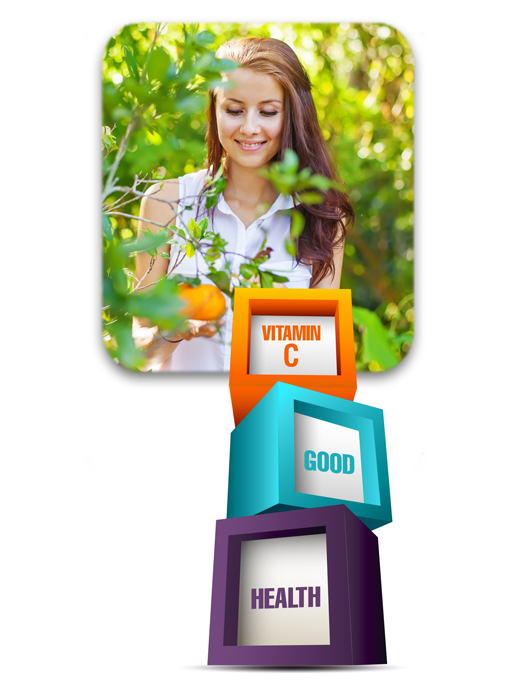 Kirkland - Vitamin C 1000mg 500 Viên Nén - Hàng Auth Từ Mỹ
